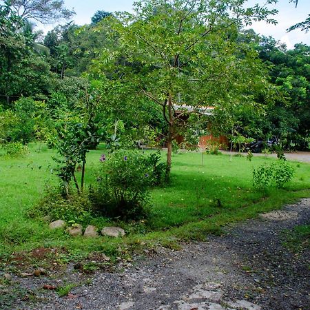 Natural Harmony Cabin Apartment Puerto Jimenez Exterior photo