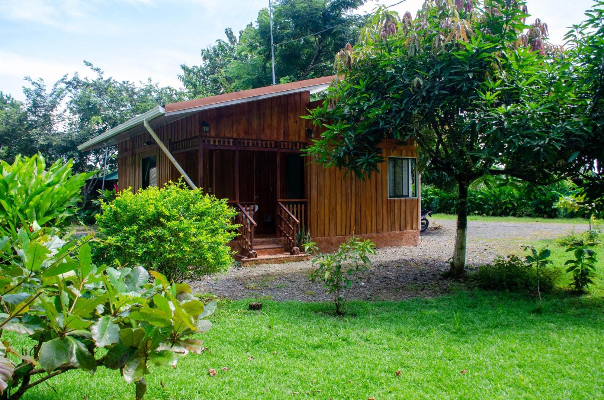 Natural Harmony Cabin Apartment Puerto Jimenez Exterior photo