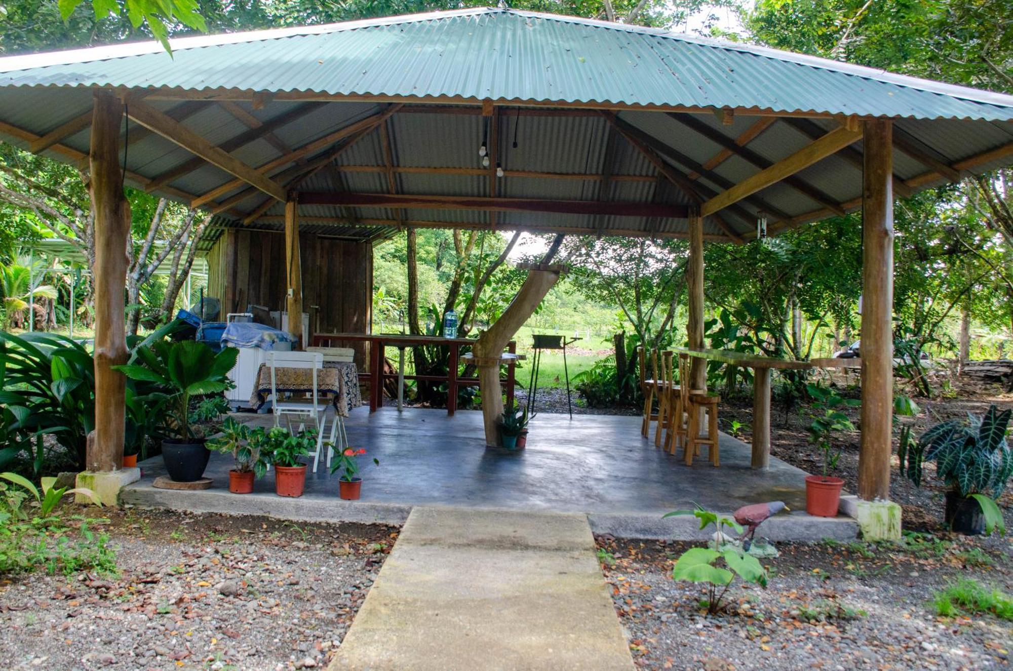 Natural Harmony Cabin Apartment Puerto Jimenez Exterior photo