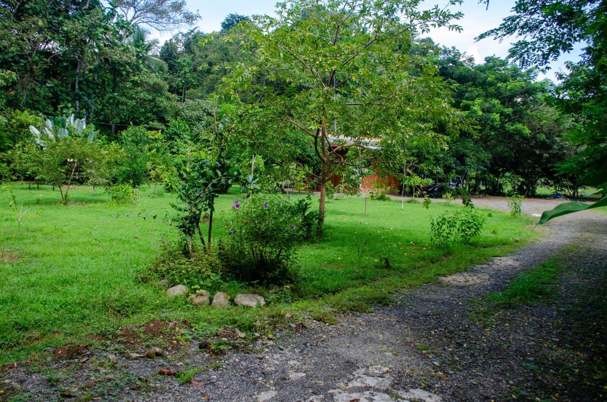 Natural Harmony Cabin Apartment Puerto Jimenez Exterior photo