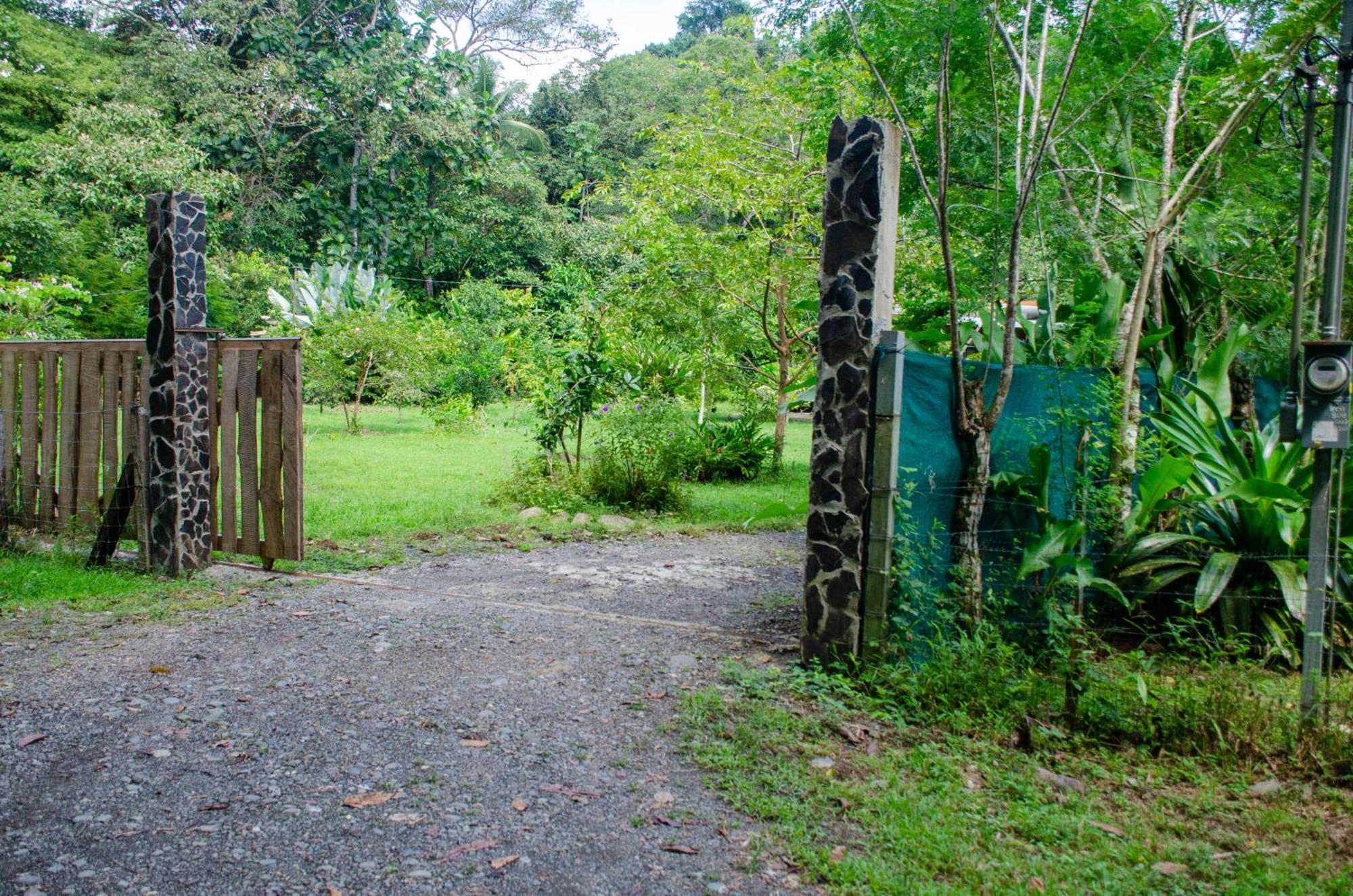 Natural Harmony Cabin Apartment Puerto Jimenez Exterior photo